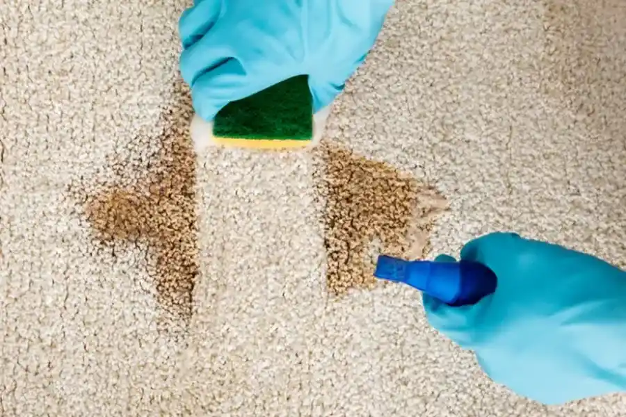 Benefits Of Professional Carpet Cleaning For Workplace Hygiene Grand Rapids, MI Benefits Of Professional Carpet Cleaning For Workplace Hygiene Grand Rapids, MI