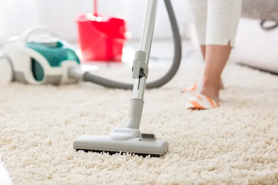 How Professional Carpet Cleaning Reduces Germs And Bacteria Grand Rapids, MI How Professional Carpet Cleaning Reduces Germs And Bacteria Grand Rapids, MI