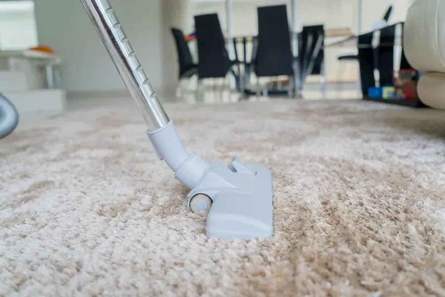 How Professional Carpet Cleaning Reduces Germs And Bacteria in Grand Rapids, MI How Professional Carpet Cleaning Reduces Germs And Bacteria in Grand Rapids, MI