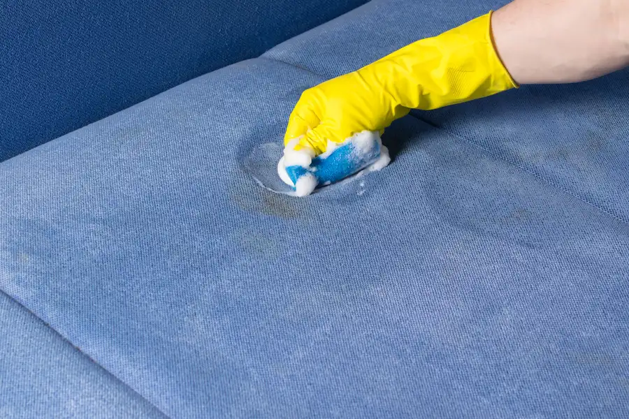 The Benefits Of Regular Upholstery Cleaning For Offices Grand Rapids, MI